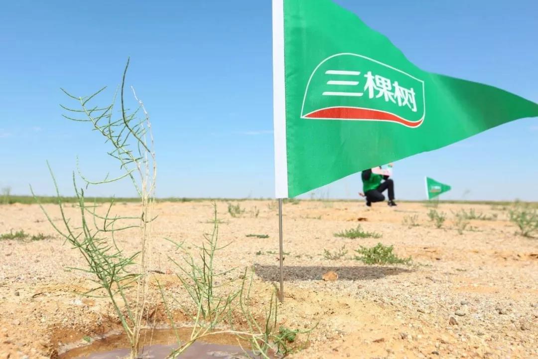 微信圖片_20190325084940.jpg 微信圖片_20190325084940.jpg