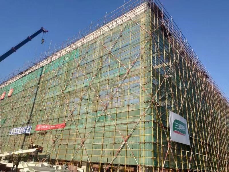 1607941248793132sCkH.jpg 5.jpg