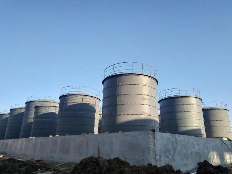 1607941278973351RFtF.jpg 6.jpg