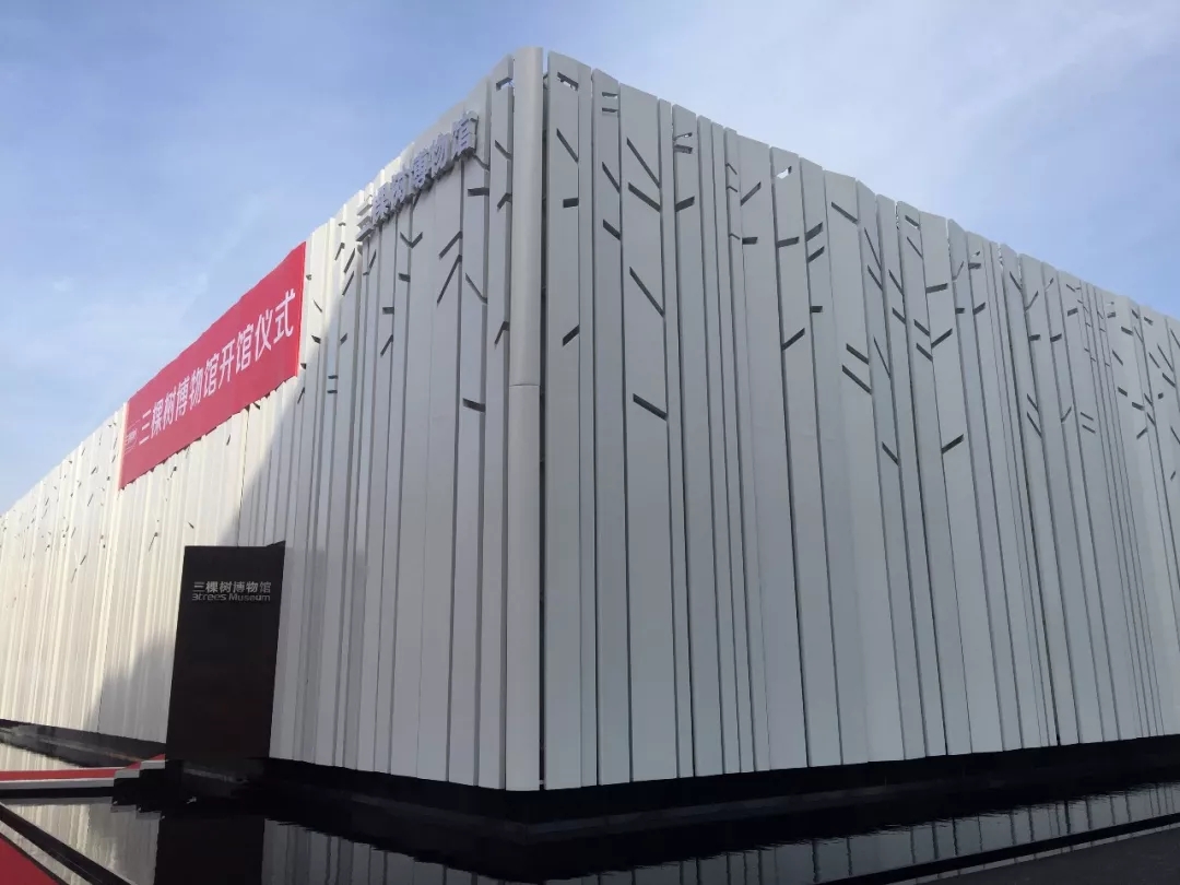 16081040298585000T2M.jpg 4.jpg