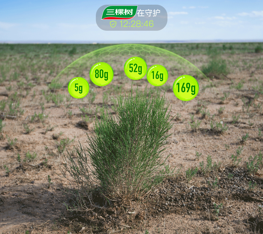 16397340837779318My1.gif 16394596469332640wNg.gif